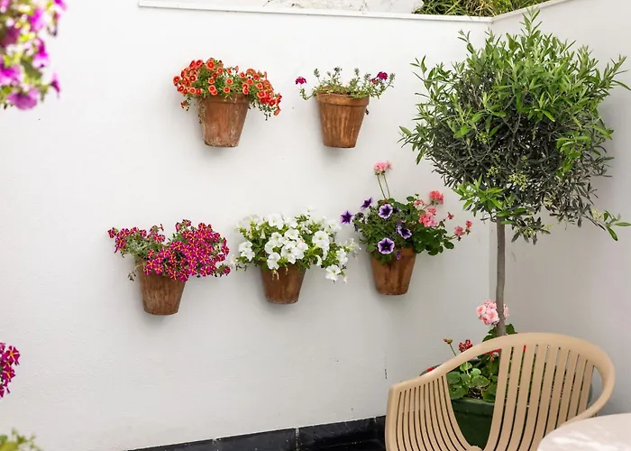 Hotel Aristoy